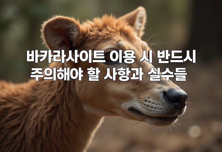 바카라사이트 이용 시 반드시 주의해야 할 사항과 실수들